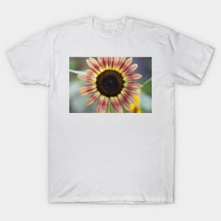 Sunflower Series XIX T-Shirt